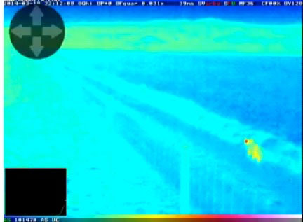 thermal imaging